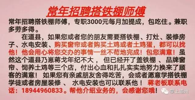 苍南县宜山招聘网最新动态与趋势解析