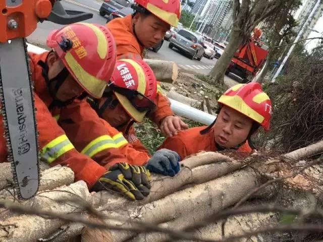 天鸽台风最新动态，影响及应对措施全解析