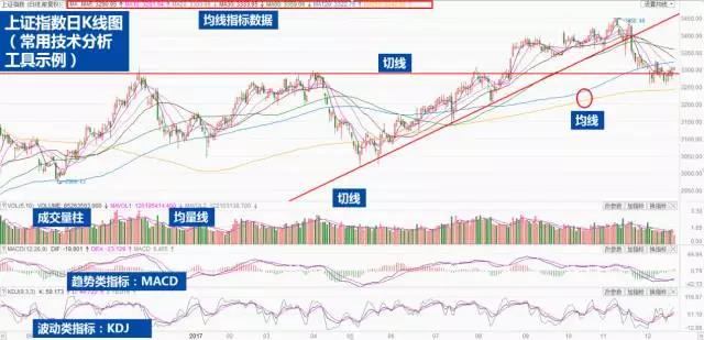 精准一肖100准确精准的含义,安全性方案设计_投资版81.936