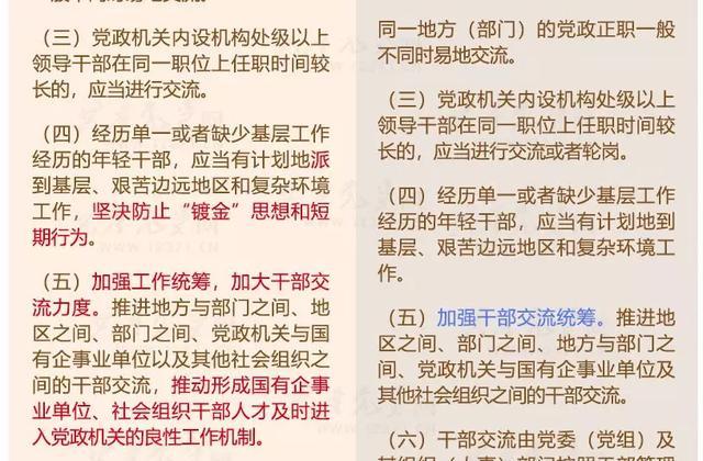 新澳资彩长期免费资料,确保成语解释落实的问题_游戏版258.183