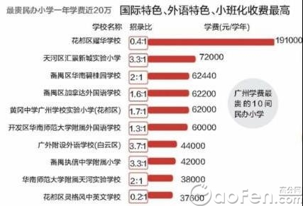 奥门开奖结果 开奖记录2024年资料网站_绝对经典解析实施_精英版248.204.42.138