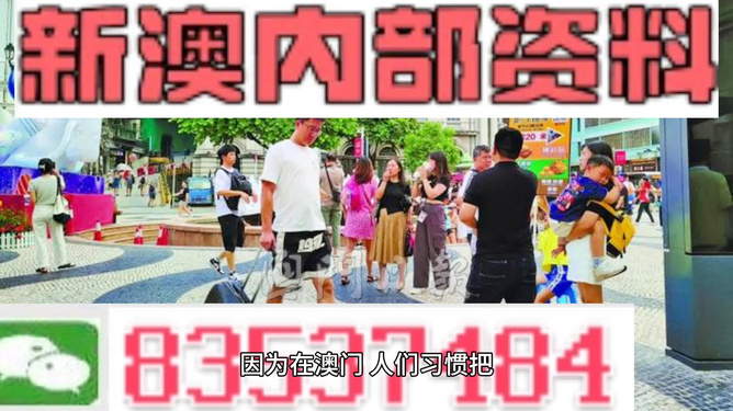 2024澳门精准正版资料大全_效率资料动态解析_vip163.103.31.158