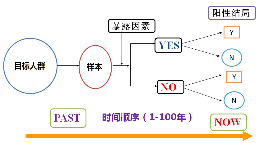 2024澳门天天开好彩免费资科_效率资料解析实施_精英版170.16.152.235