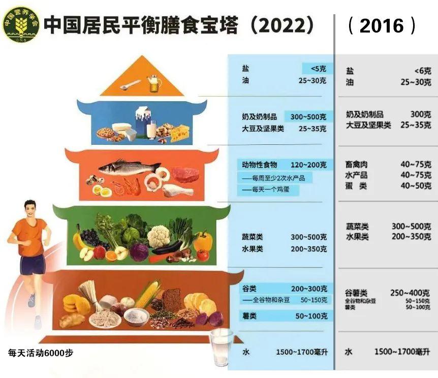 2023年正版资料