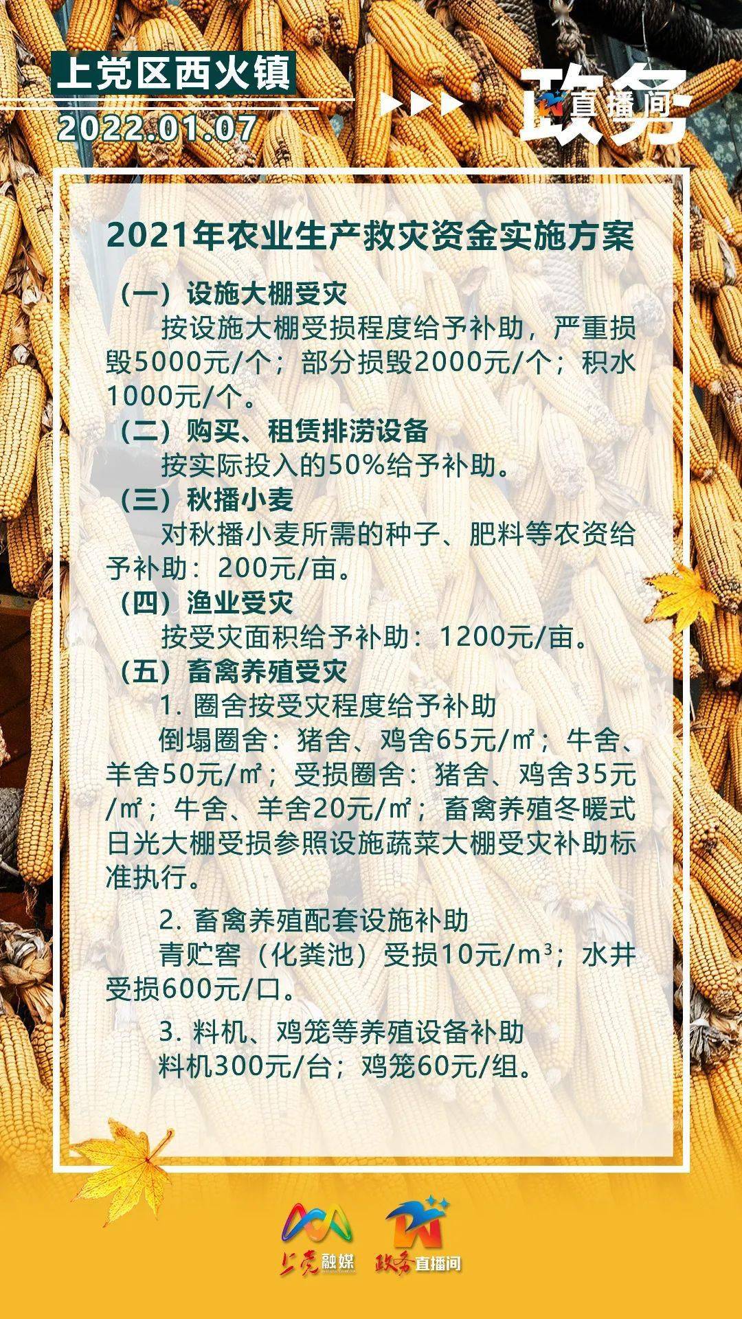 494949最快开奖现场直播123,确保成语解释落实的问题_3DM36.30.79