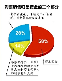 彩票资料解析