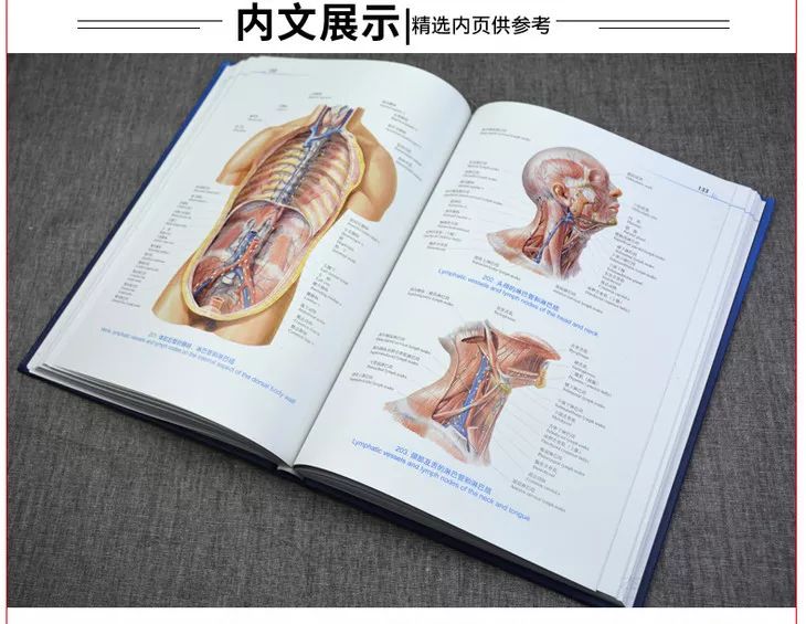 新奥天天免费资料大全正版优势_绝对经典解剖落实_尊贵版171.110.231.67