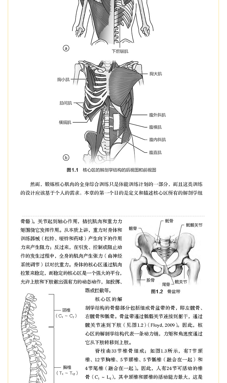 2024新奥正版资料免费提拱_最新核心解剖落实_尊贵版142.18.108.56