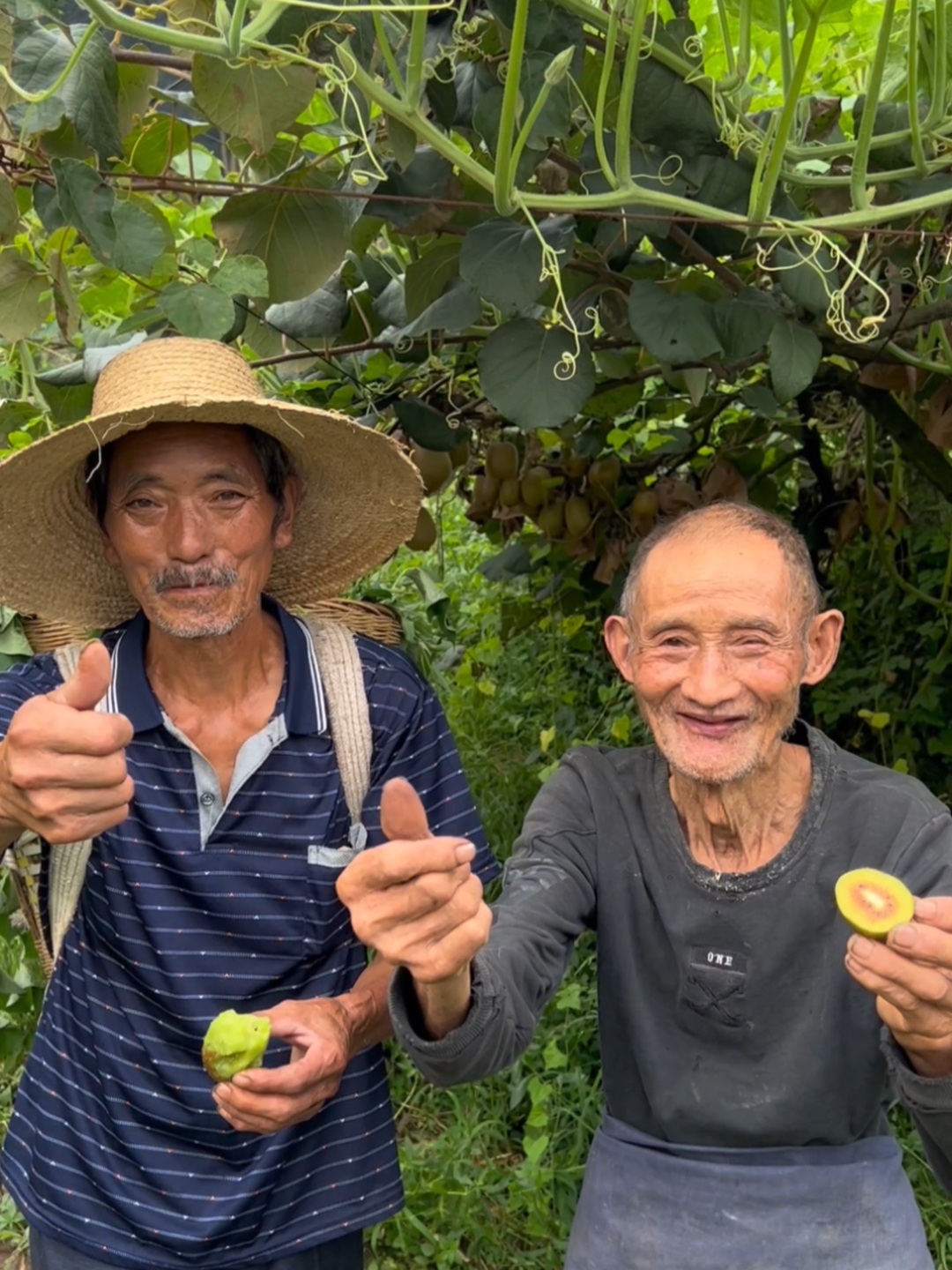 新澳今天最新资料水果爷爷_最新热门核心关注_升级版52.37.118.164